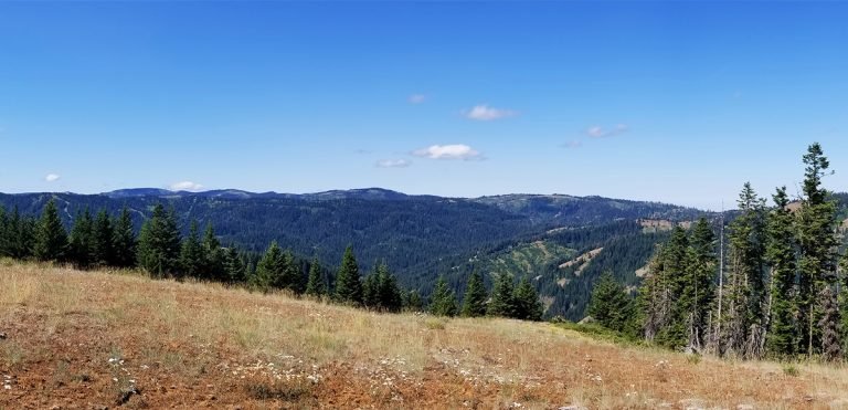 Middle Point Ridge Trail