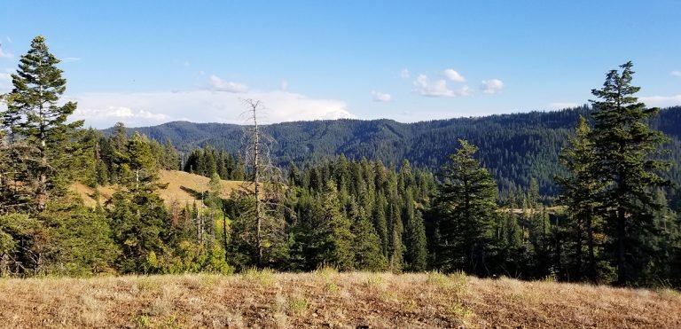 Chase Mountain in the Blues offers expansive views