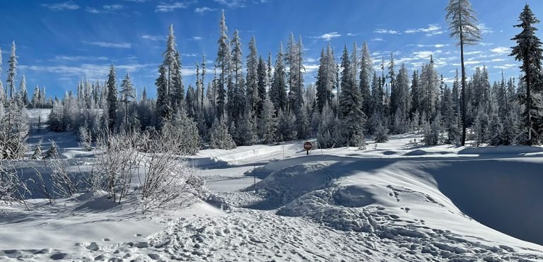The Horseshoe Prairie Nordic Ski Area is a true gift, offering dreamy outdoor recreation throughout the winter. Cross country skiing and snowshoeing above the fog in the Blue Mountains is THE way to spend the winter.