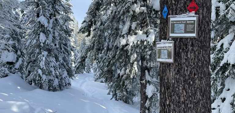 The Horseshoe Prairie Nordic Ski Area is a true gift, offering dreamy outdoor recreation throughout the winter. Cross country skiing and snowshoeing above the fog in the Blue Mountains is THE way to spend the winter.