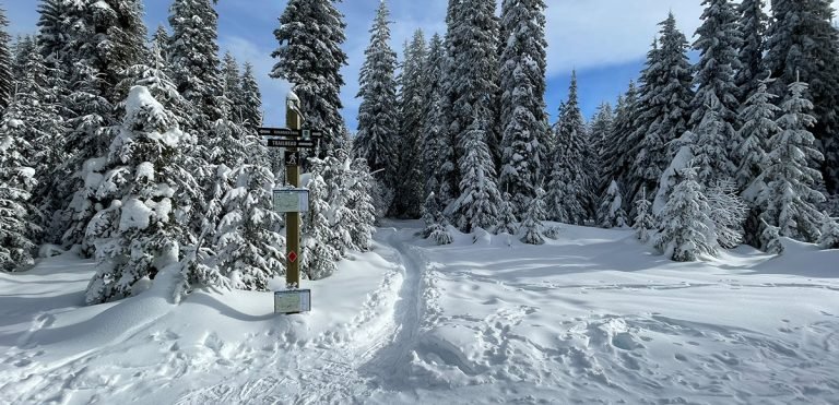 The Horseshoe Prairie Nordic Ski Area is a true gift, offering dreamy outdoor recreation throughout the winter. Cross country skiing and snowshoeing above the fog in the Blue Mountains is THE way to spend the winter.