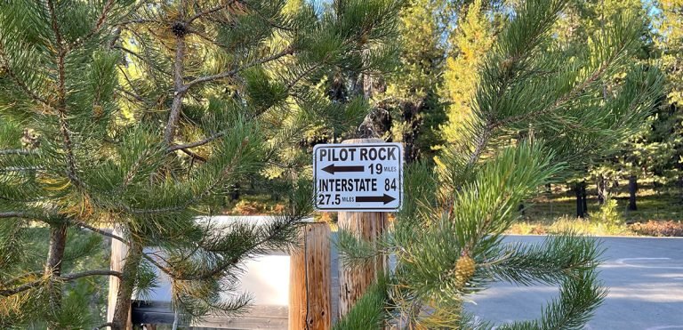 Shoutout for signage! It is nice to know where you are and Indian Lake Campground is the place to be.