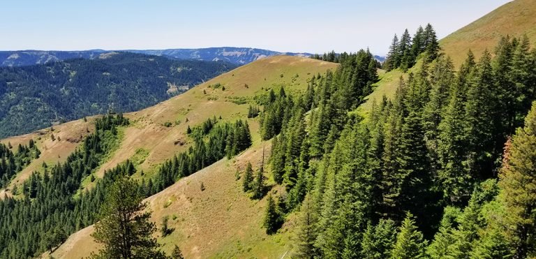North Fork Umatilla River Trail