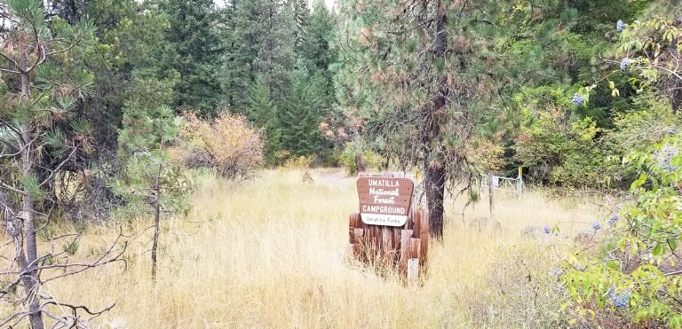 Umatilla Forks Campground