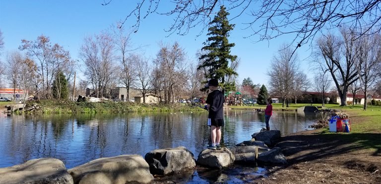 Jefferson Pond is a great, in-town, stocked pond options for outdoor family fun.