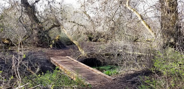 Arthur G. Rempel Nature Trail