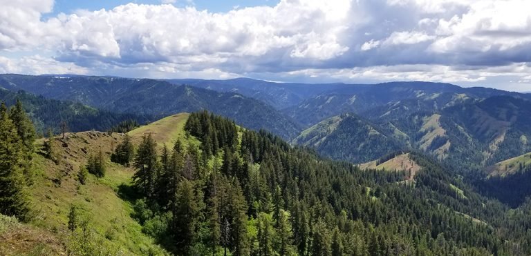 The Grouse Mountain Trail is a show stopper. This family friendly trail is a staple outdoor activity in the Blue Mountains.