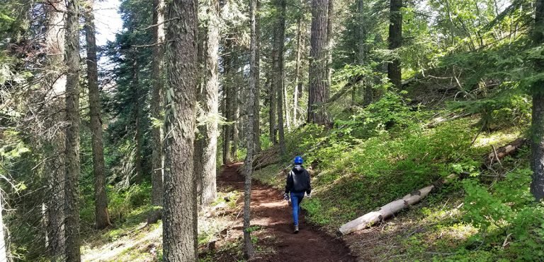 The Grouse Mountain Trail is a show stopper. This family friendly trail is a staple outdoor activity in the Blue Mountains.