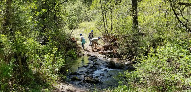 West Tiger Creek Trail