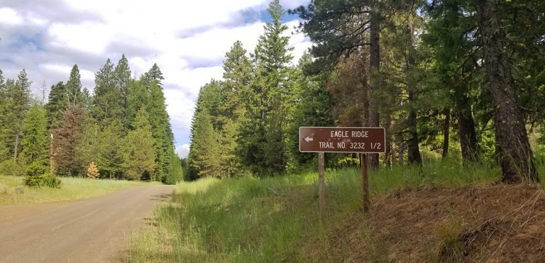 Trail signs lead the way to adventure in the Umatilla National Forest