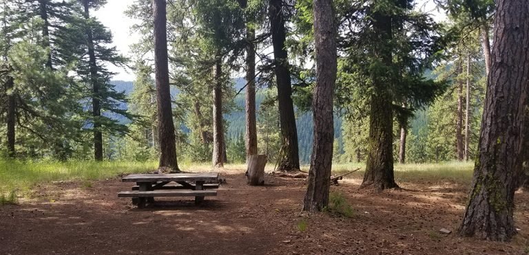 Welcome shade in the forest, take a break and have lunch