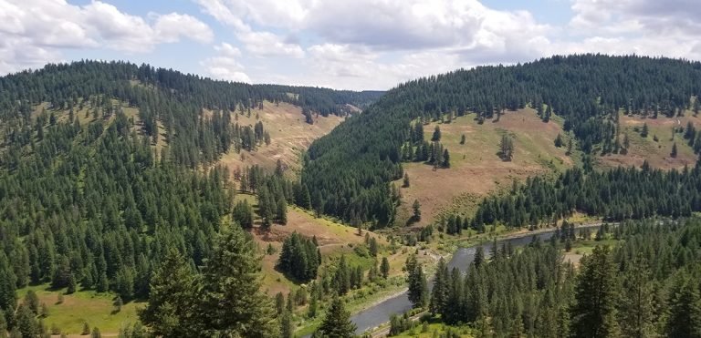 Palmer Junction