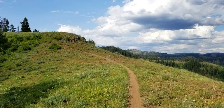Table Springs / Bear Creek Trail