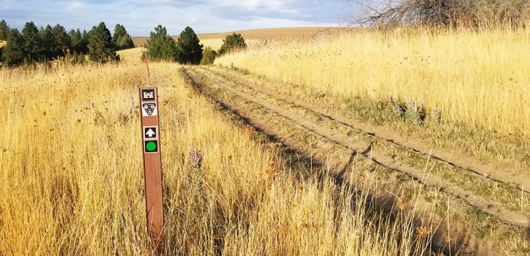 Trails at Bennington Lake