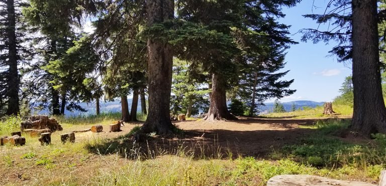 Godman Campground is a beautiful campground high in the Blue Mountains