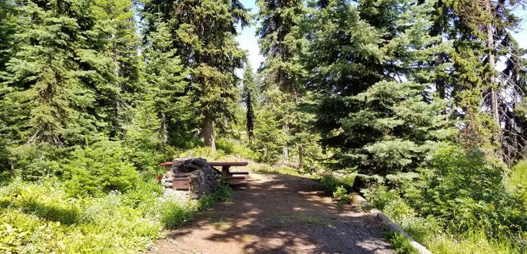 Godman Campground is a beautiful campground high in the Blue Mountains
