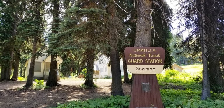 Godman Campground is a beautiful campground high in the Blue Mountains