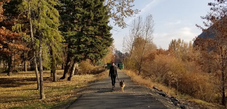 Wild Mystery: A Day in Dayton