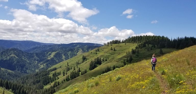 The Grouse Mountain Trail is a show stopper. This family friendly trail is a staple outdoor activity in the Blue Mountains.