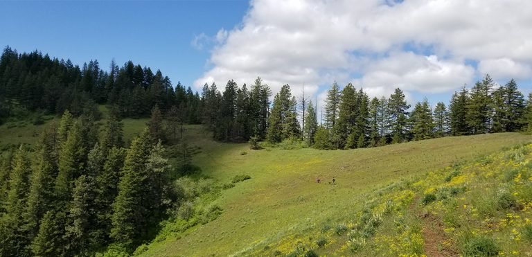 The Grouse Mountain Trail is a show stopper. This family friendly trail is a staple outdoor activity in the Blue Mountains.