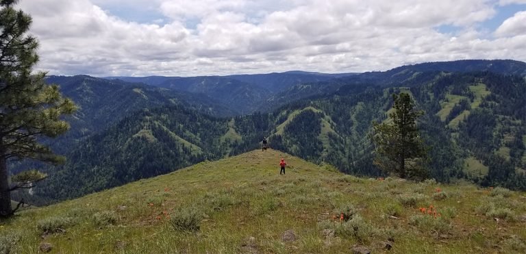 The Grouse Mountain Trail is a show stopper. This family friendly trail is a staple outdoor activity in the Blue Mountains.