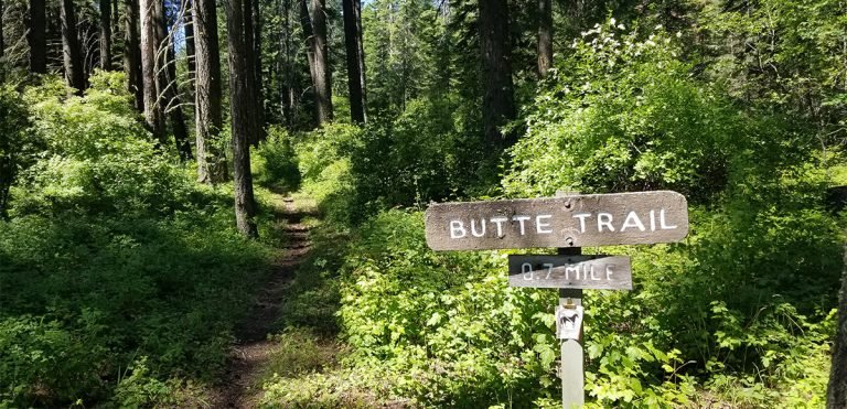 One of a handful of hiking trails at Field Spring State Park