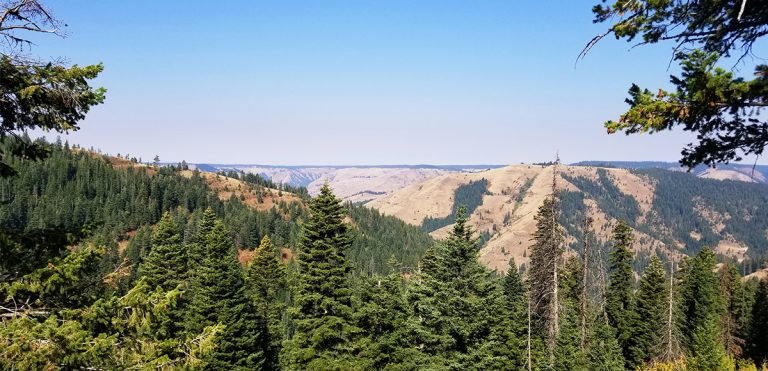 Panoramic views of the Blue Mountains from the Buck Mountain Trail