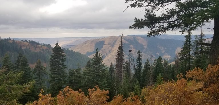 A moody fall evening on the Buck Mountain Trail