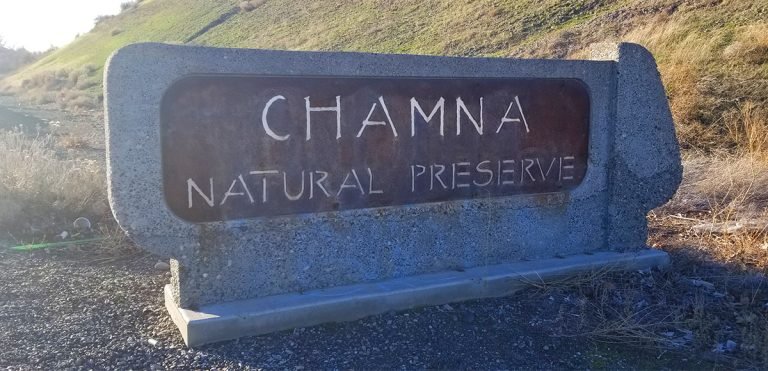Signage is always an awesom site