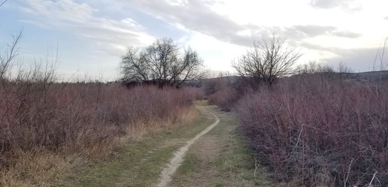 Escaping the Walla Walla fog at Chamna Natural Preserve