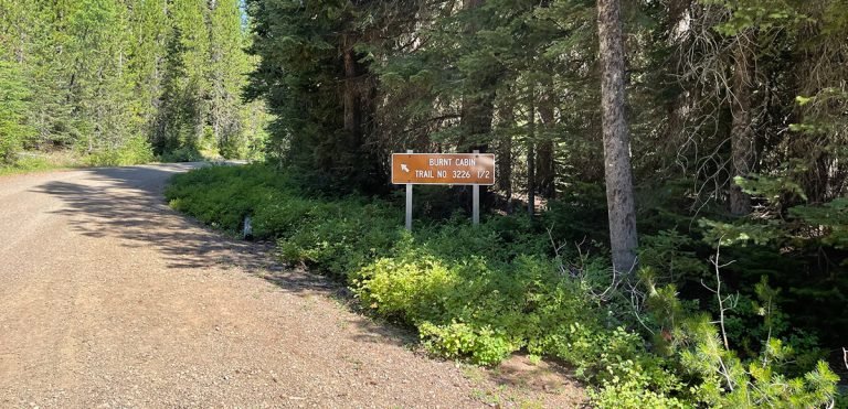 Nothing better than signage in the Umatilla Nationa Forest
