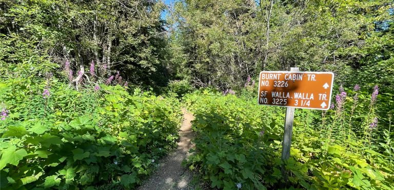 Starting the Burnt Cabin Trail from the upper trailhead near Target Meadows