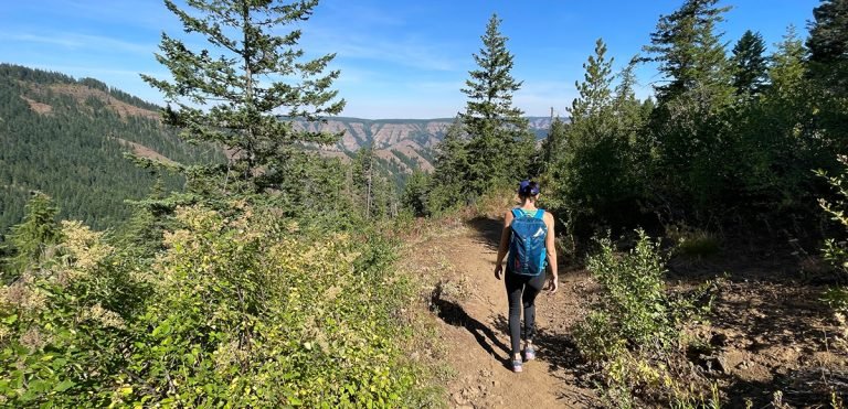 Starting our decent down the Burnt Cabin Trail