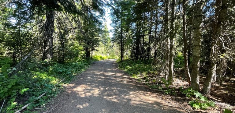 This long loop is great for folks with trailors wanting to ride the Burnt Cabin Trail