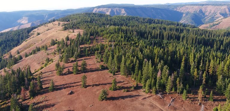 Umatilla Rim Ripper