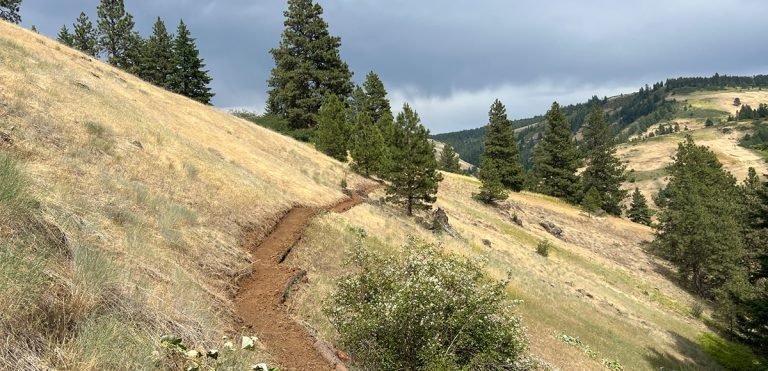 Jasper Mountain Reserve has a lovely trail system to match its breathtaking views
