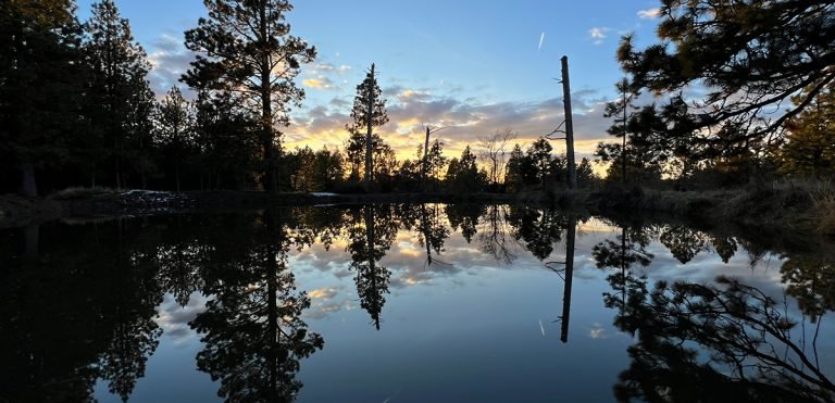 Camping at the reserve and enjoying the pond on a summer night at Jasper Mountain Reserve