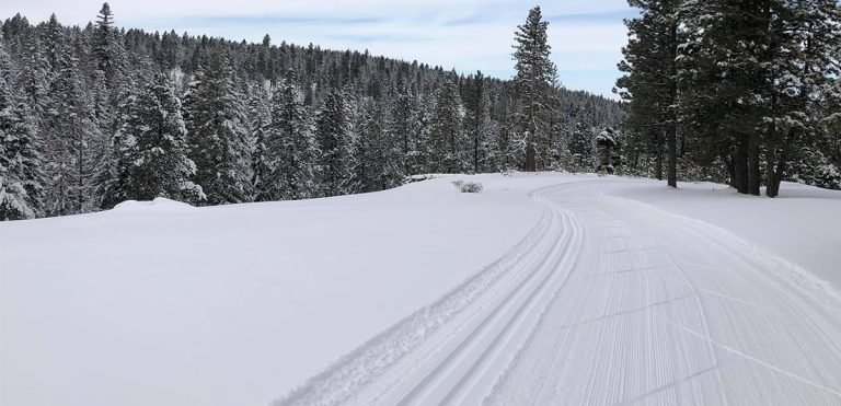 Cross country skiing is available as the weather allows at Jasper Mountain Reserve