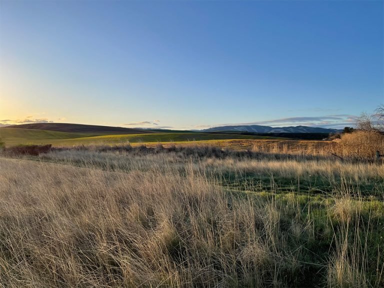 48 Hours in Walla Walla | Spring Forward