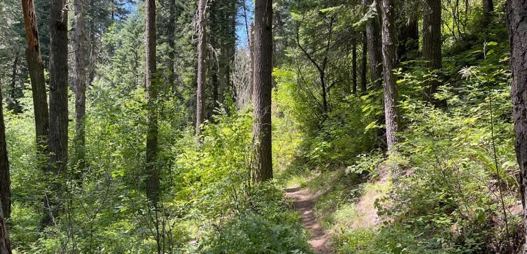 Buck Creek Trail