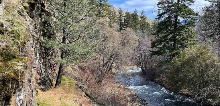 Harris Park Trail